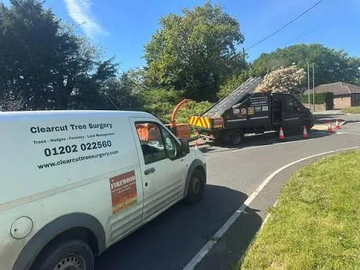 The Clearcut Tree Surgery van on site, with the tipper truck and chipper working behind it