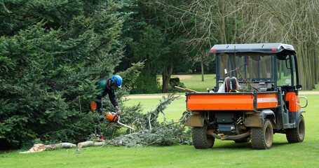 Clearcut Tree Surgery Grounds Maintenance Services Dorset & Hampshire