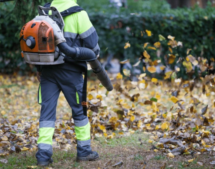 Clearcut Land Management Team