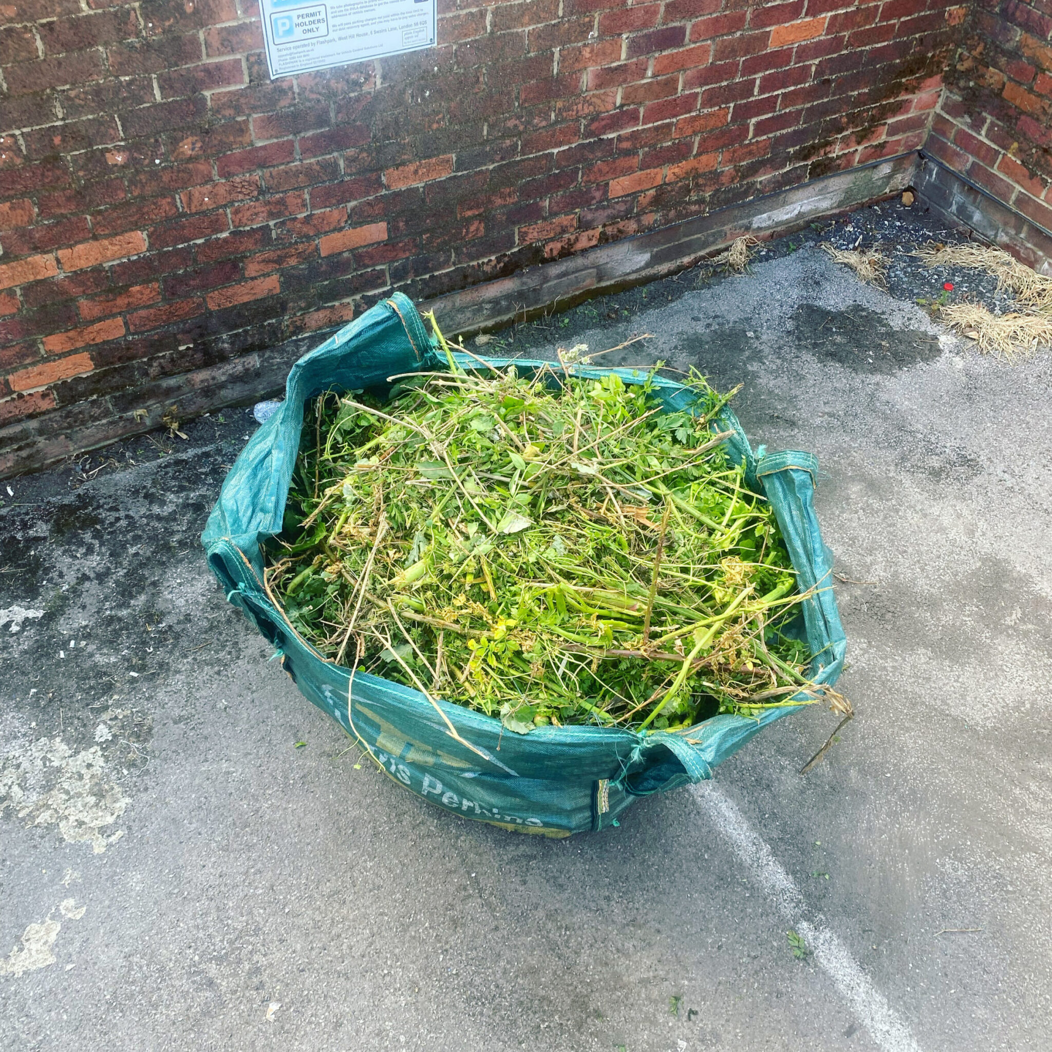 A builder's bag full of garden cuttings