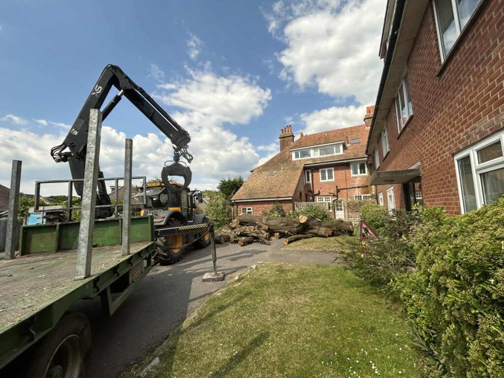 A timber crane loading logs on a driveway beside a house
