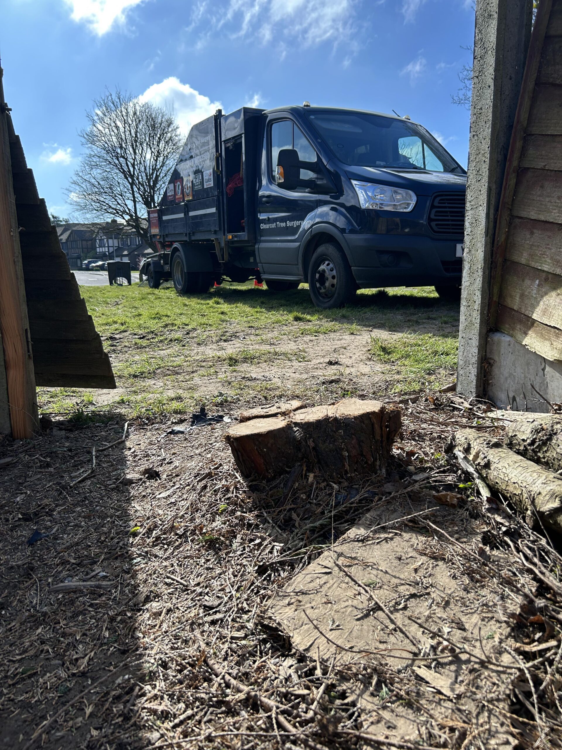 Professional stump removal service in Dorset & Hampshire by Clearcut Tree Surgery