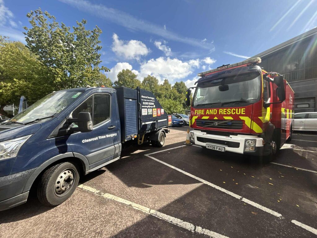 Clearcut Tree Surgery Ltd Emergency Tree Work