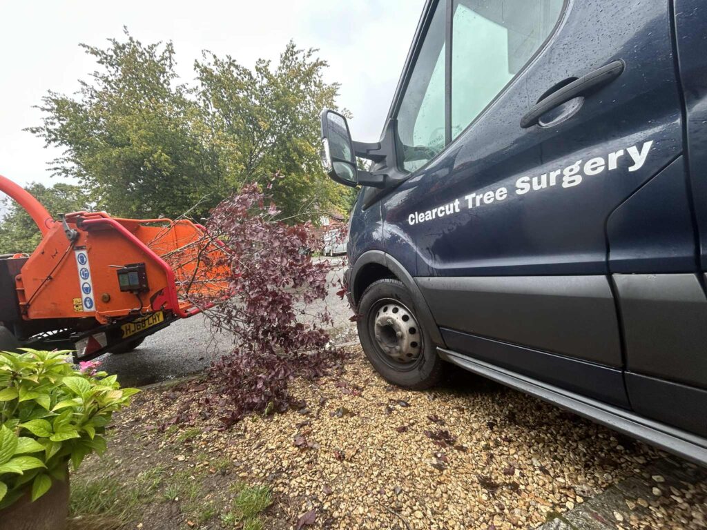 The Clearcut van parked beside a garden on a pruning job