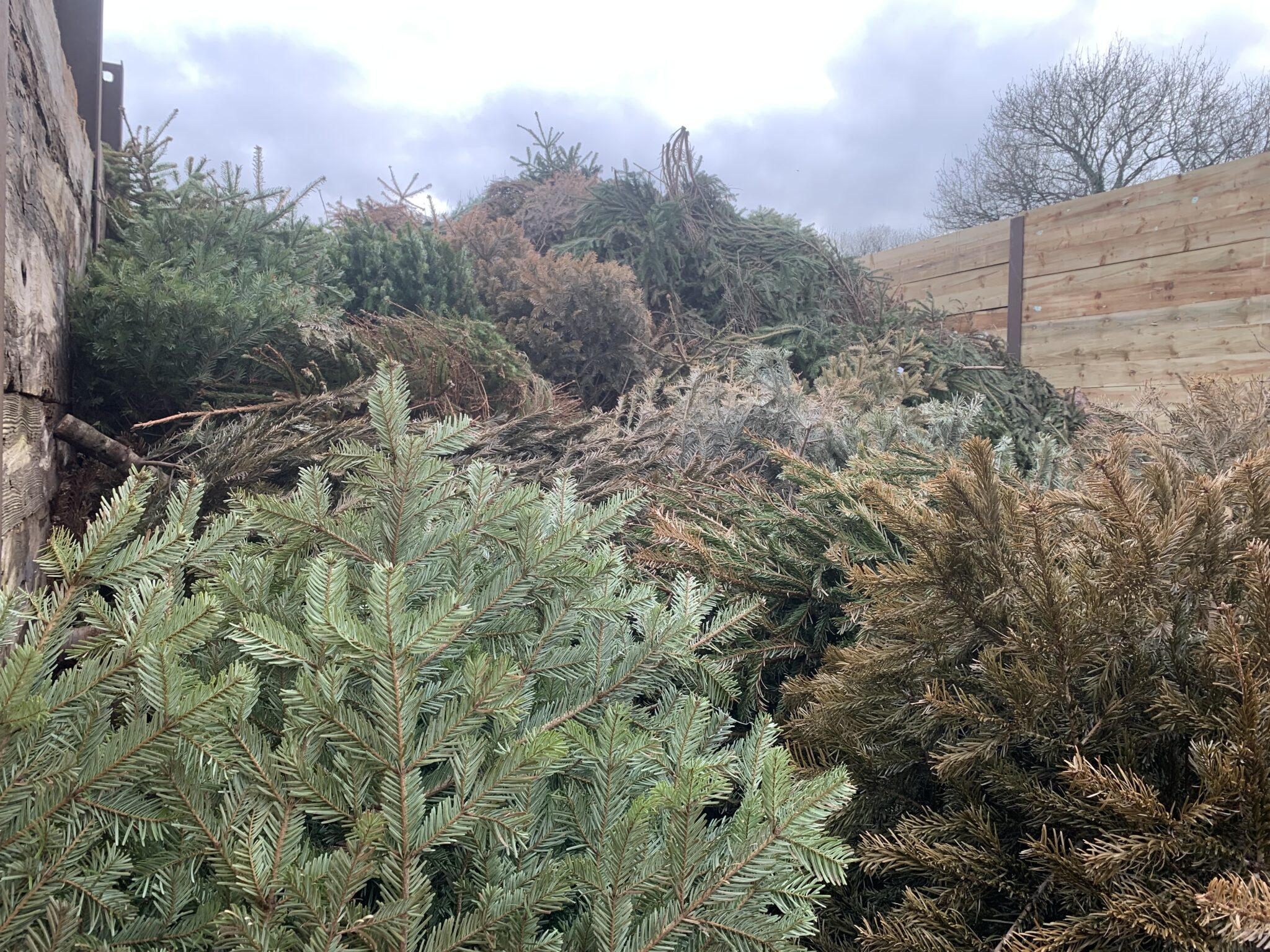 A pile of garden waste ready to be cleared