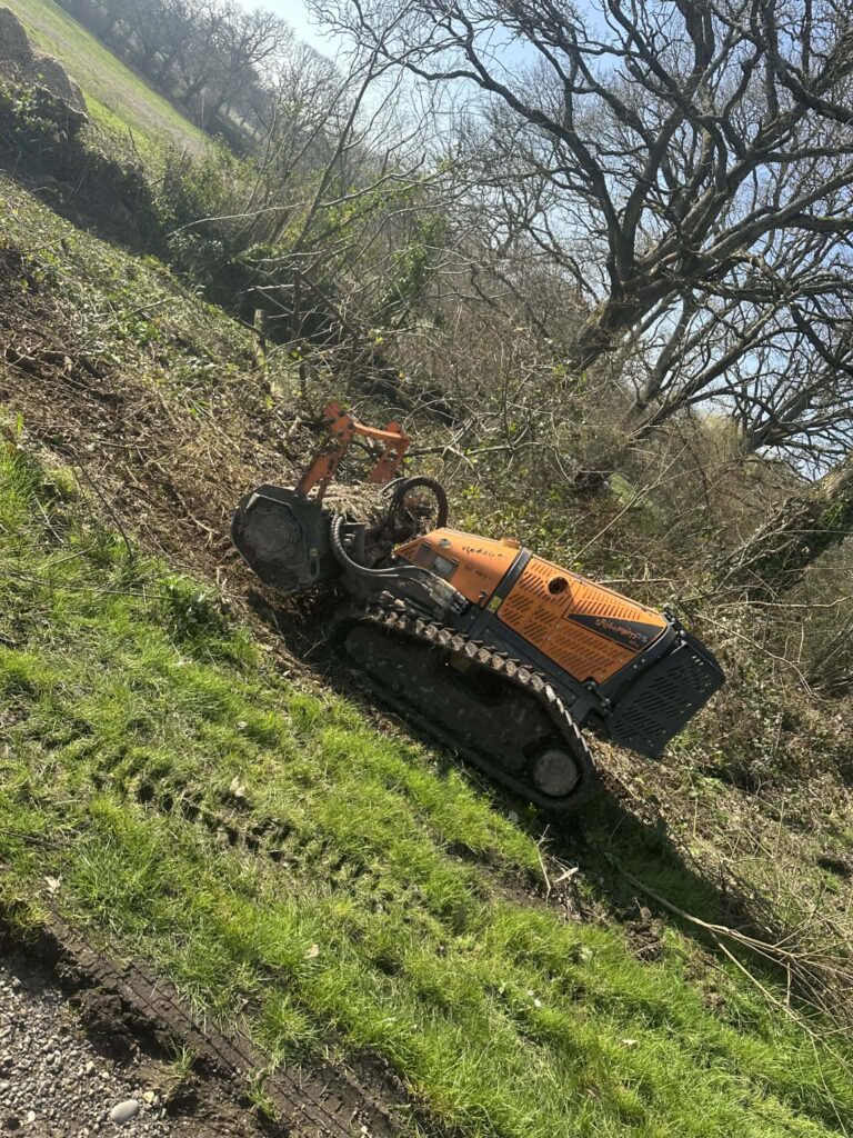 Clearcut Tree Surgery Site Clearance Services