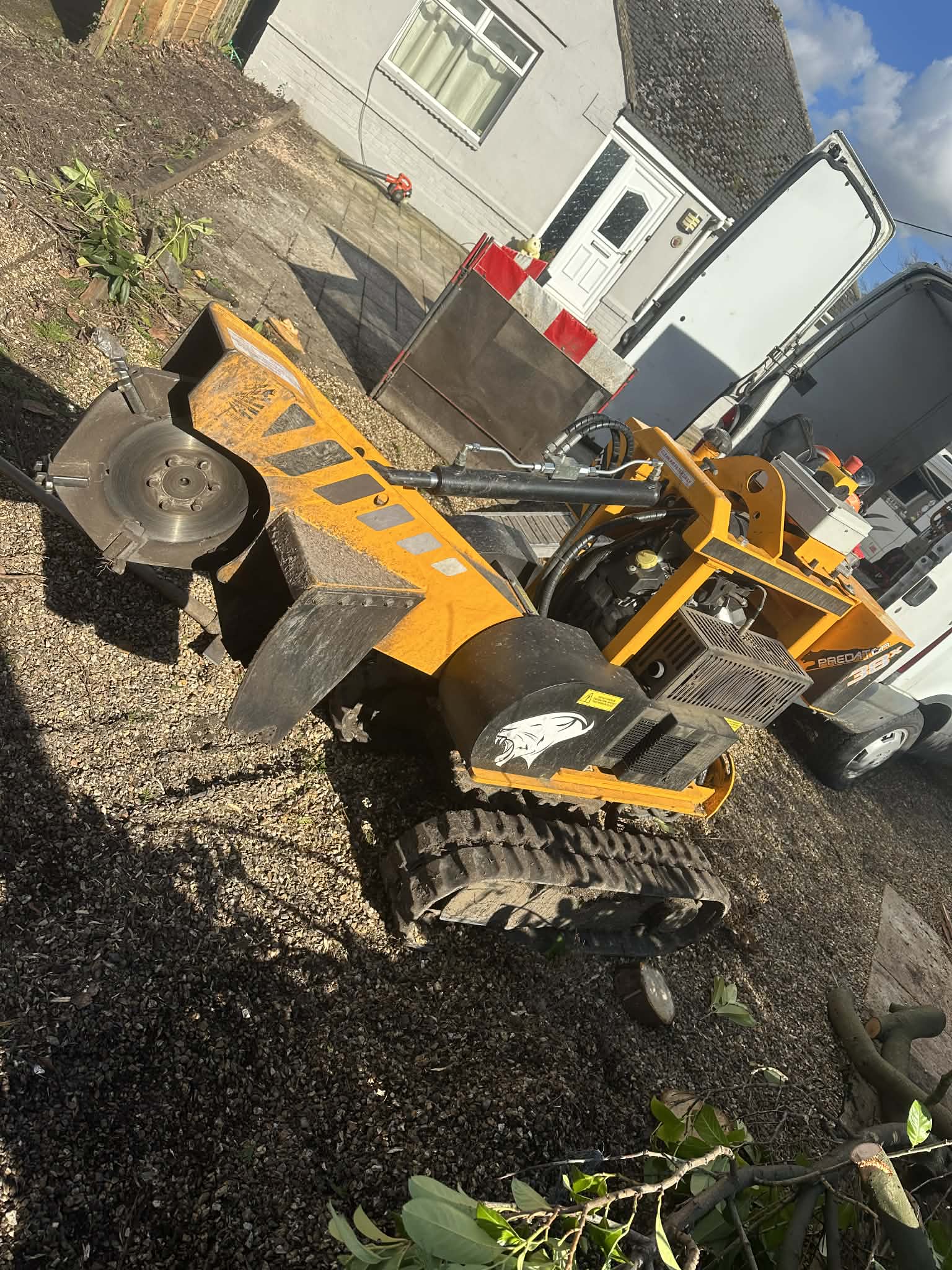 Tree stump removal service for garden landscaping