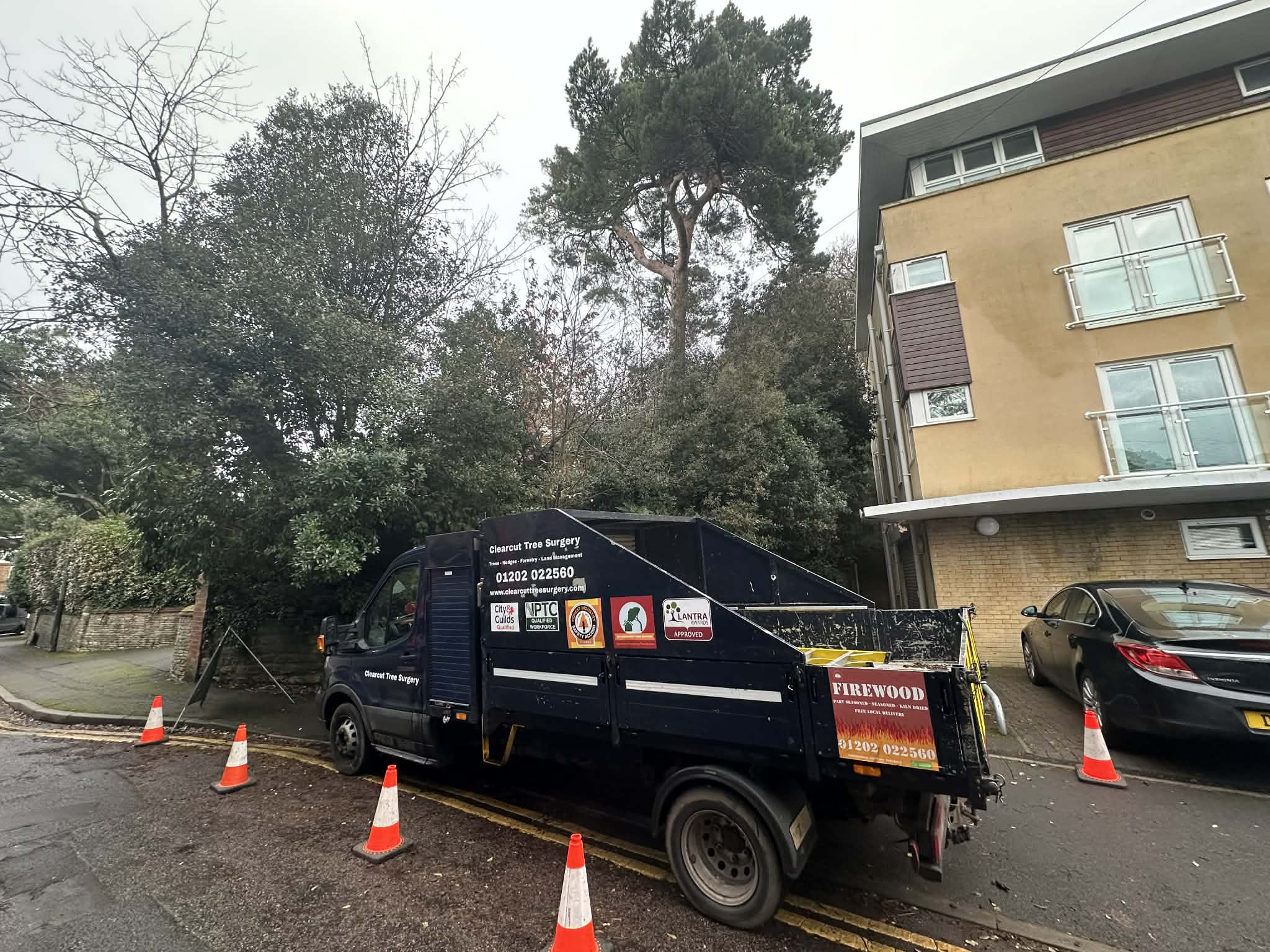 Clearcut Tree Surgery Ltd Local Tree Surgeons