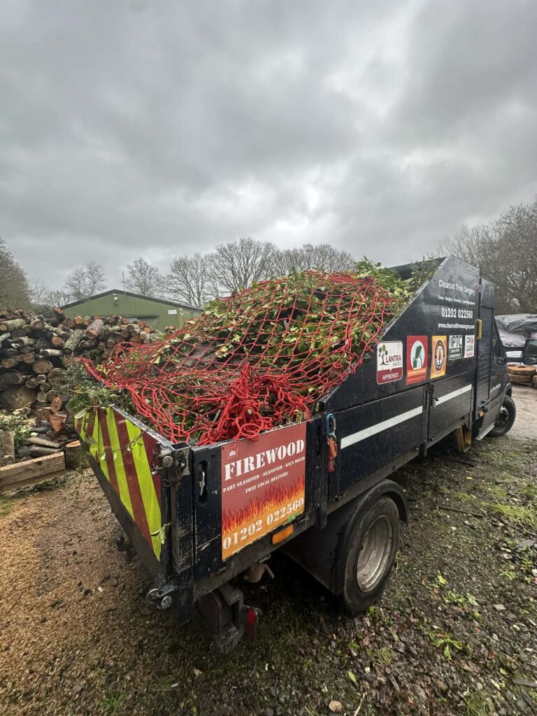 green waste clearance including branches and vegetation