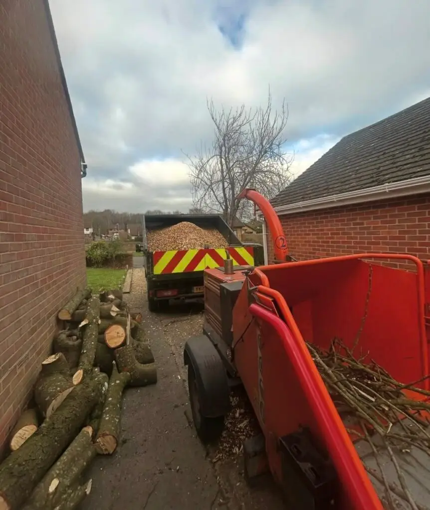 Tree Surgeon Providing Tree Removal In Dorset​