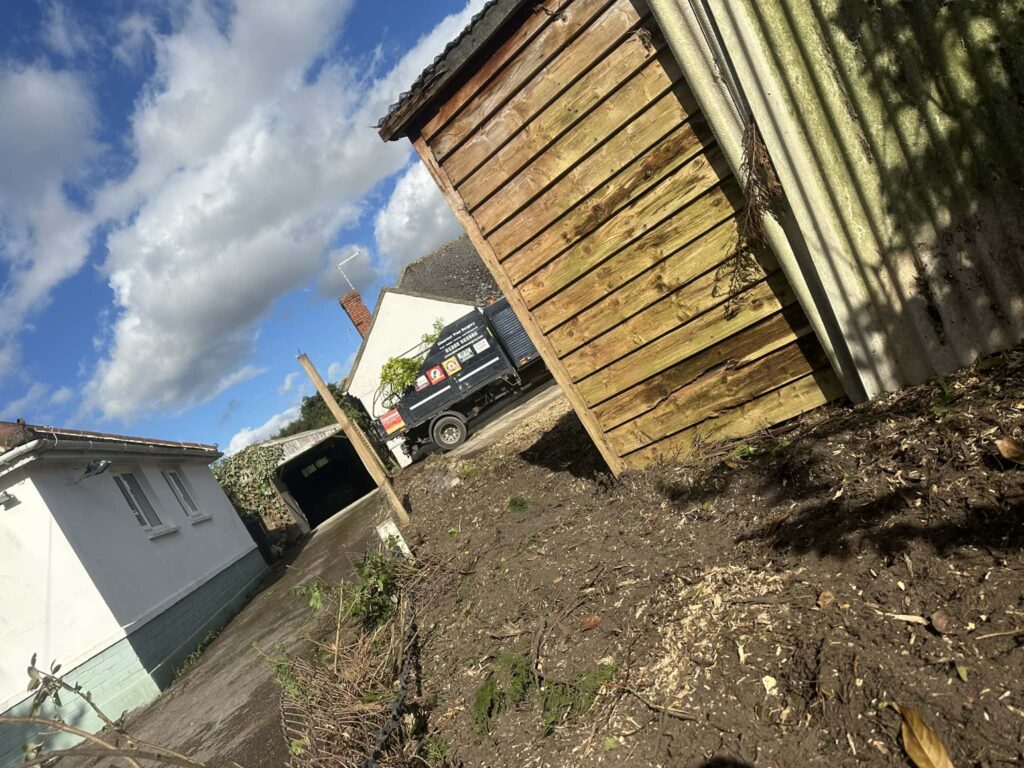 Tree and hedge Site Clearance service