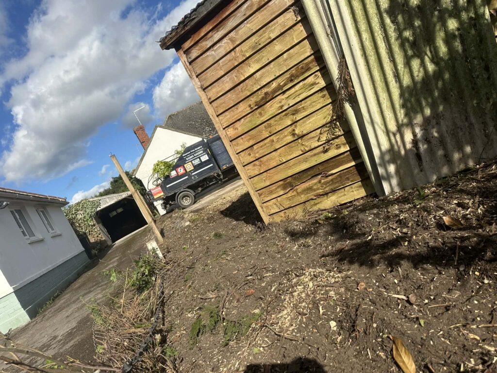 Tree & Stump Removed From Garden