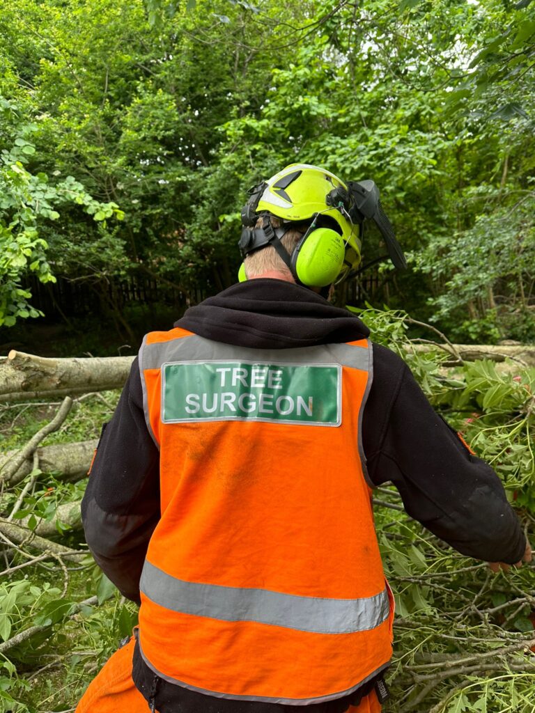 Clearcut Tree Surgery Ltd Tree Surgeon Working With A Wood Chipper
