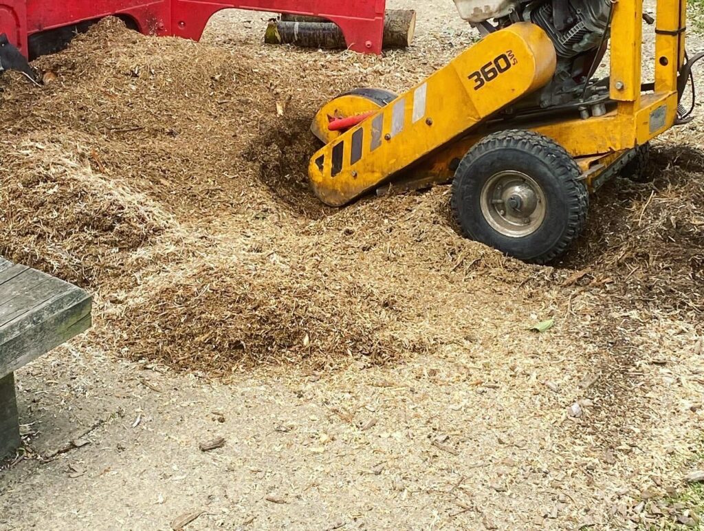 Tree Stump Removed Clearcut Tree Surgery In Hampshire