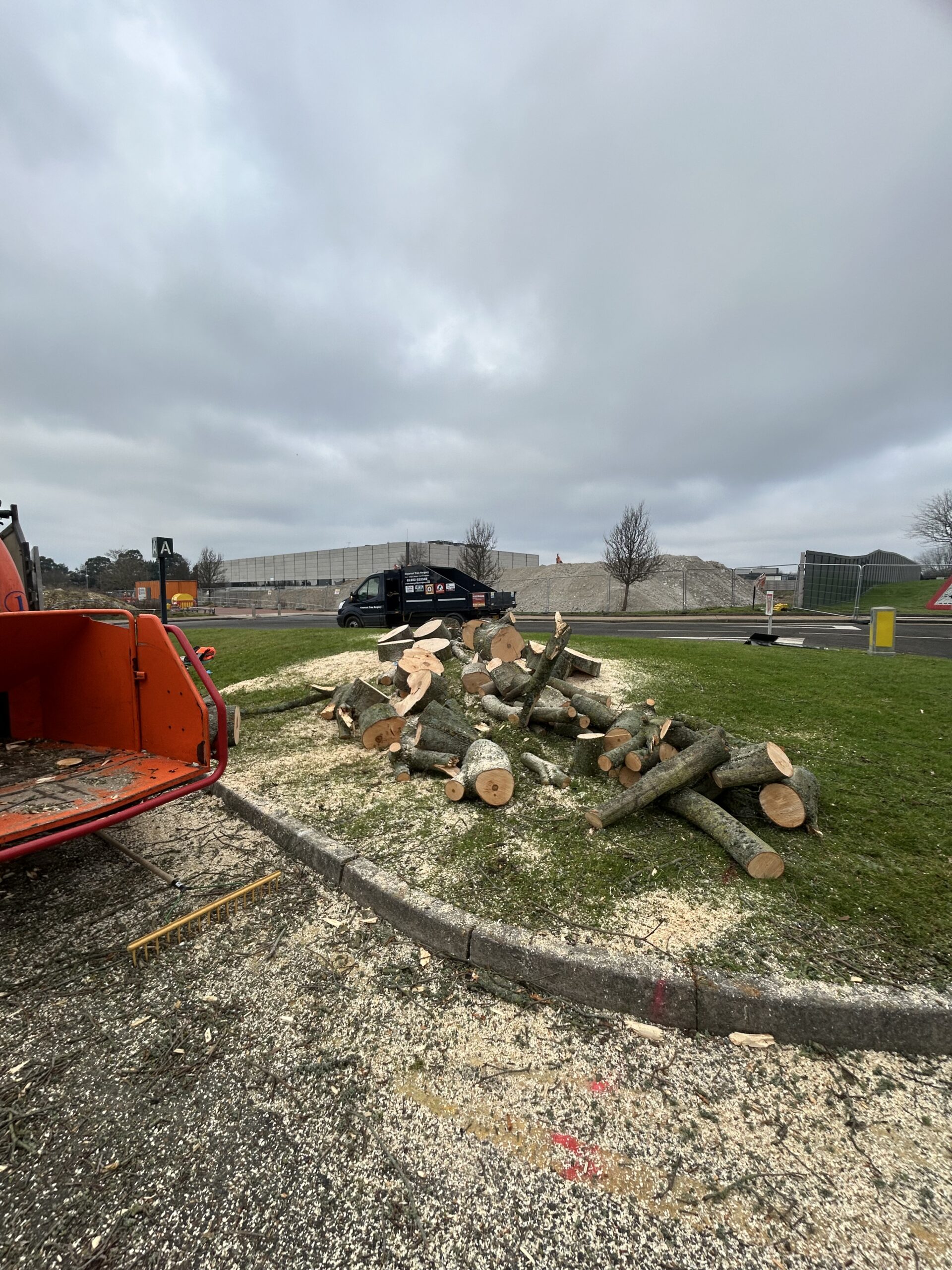 Christchurch Tree Surgeons