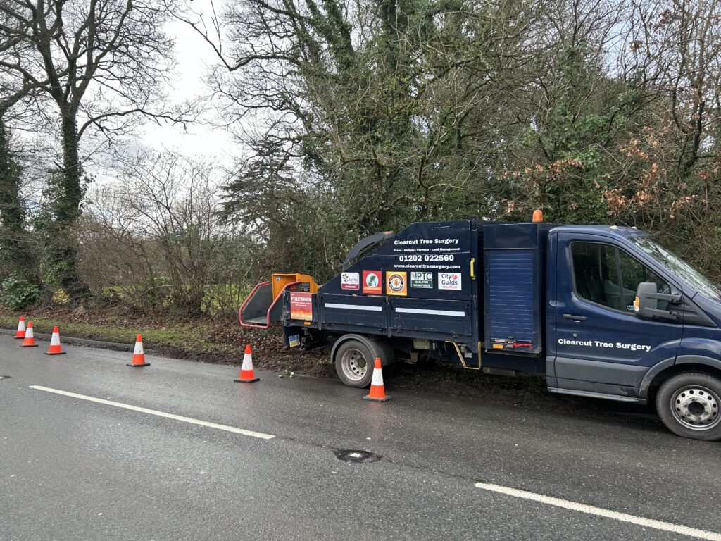 Local Tree Surgeon Tree Topping
