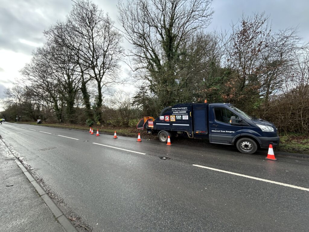 Christchurch Tree Surgeons