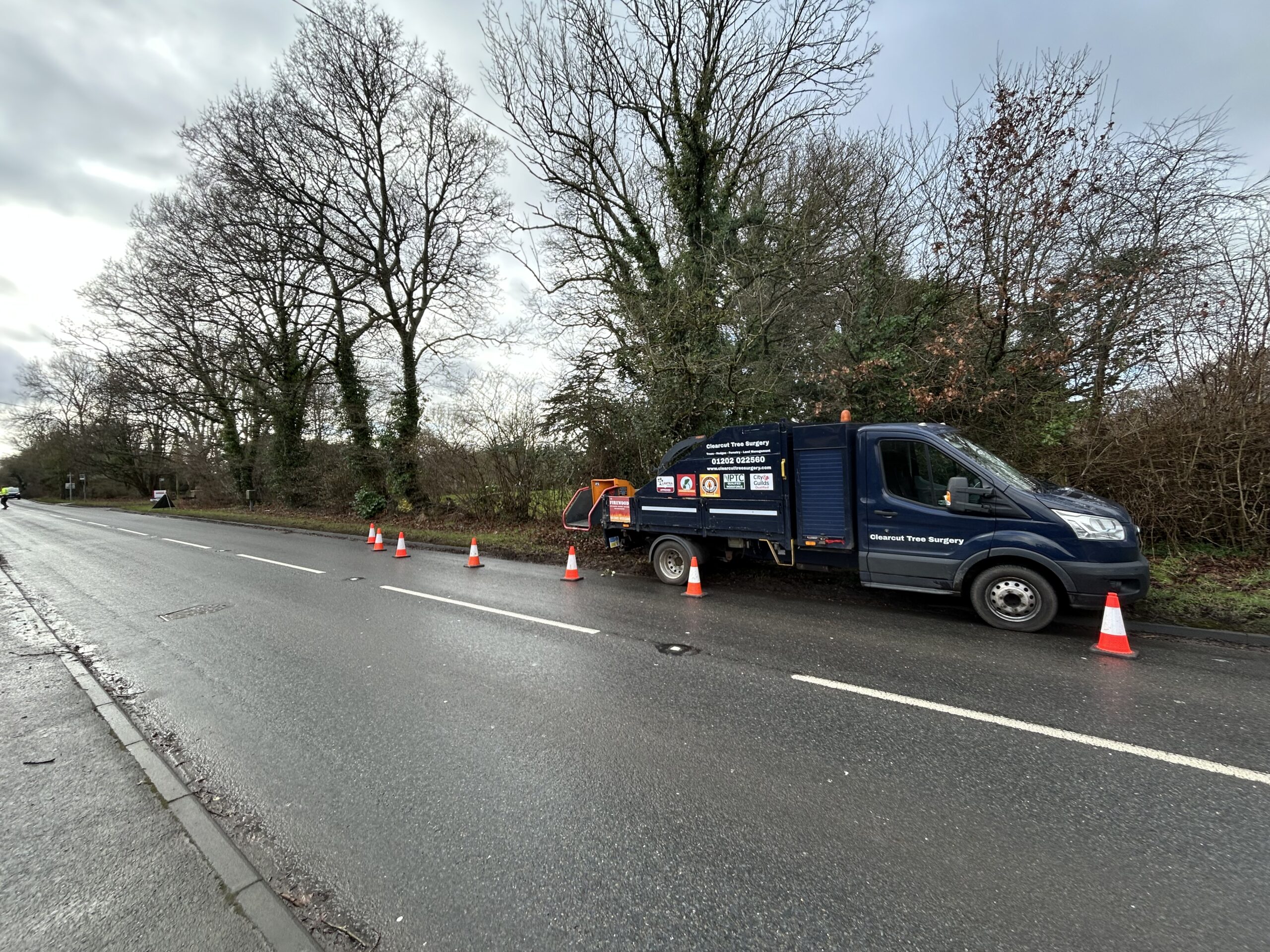 Christchurch Tree Surgeons