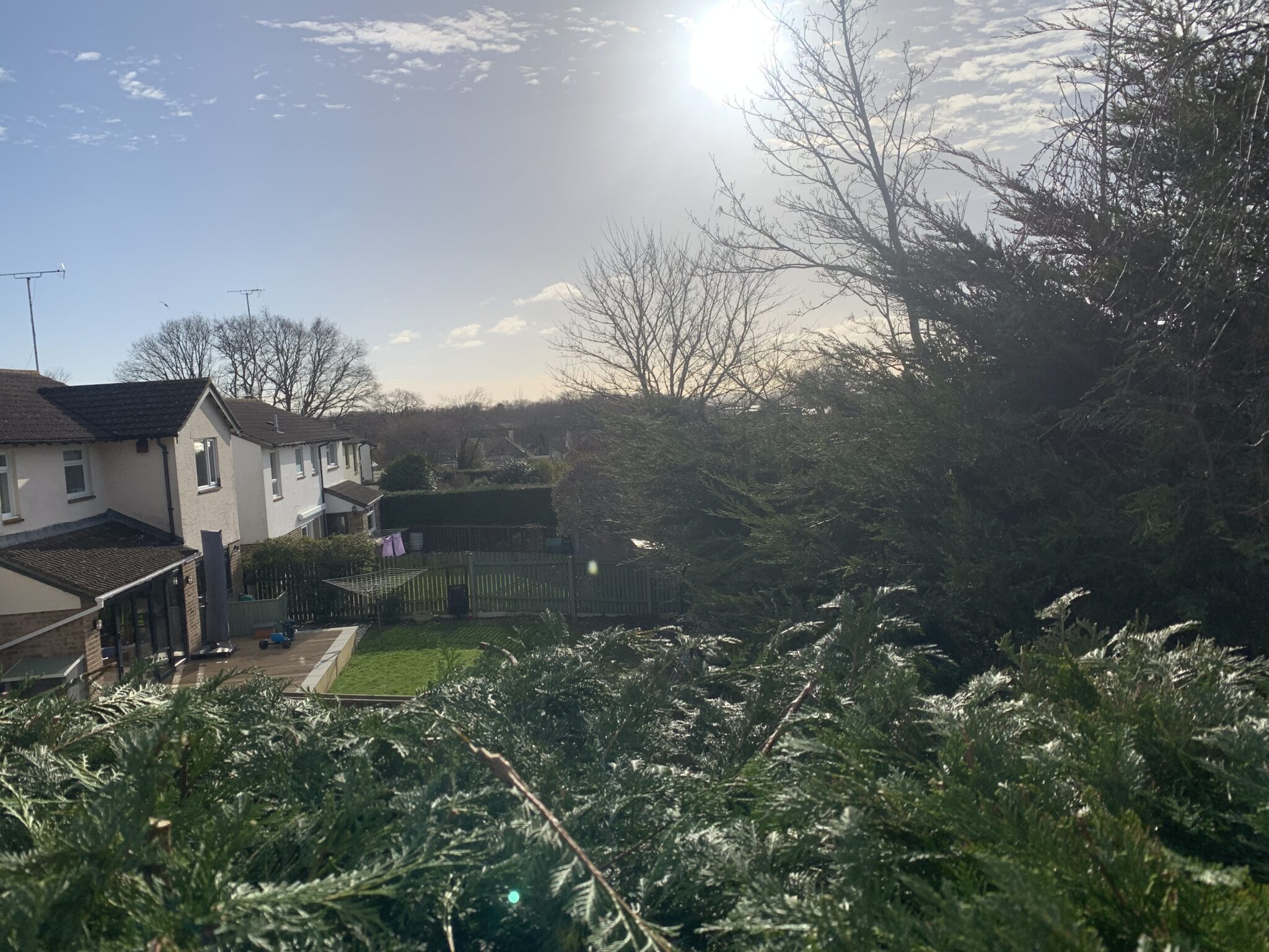 The view from high in a tree over neighbouring gardens