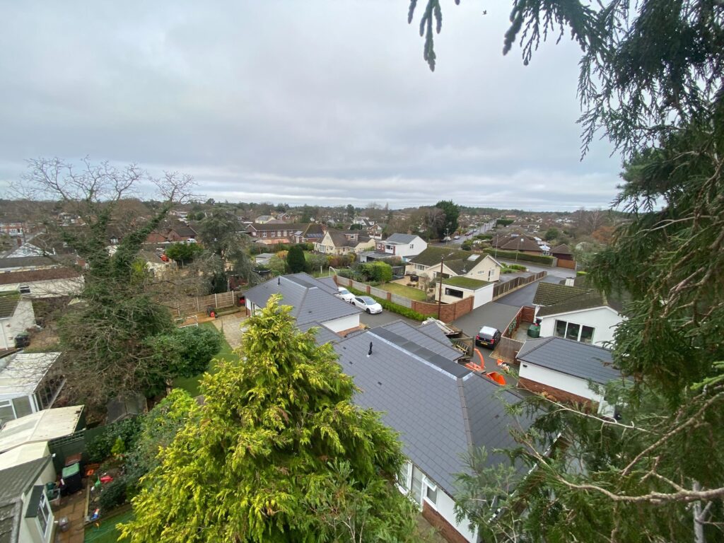 Crown Lifting Clearcut Tree Surgery