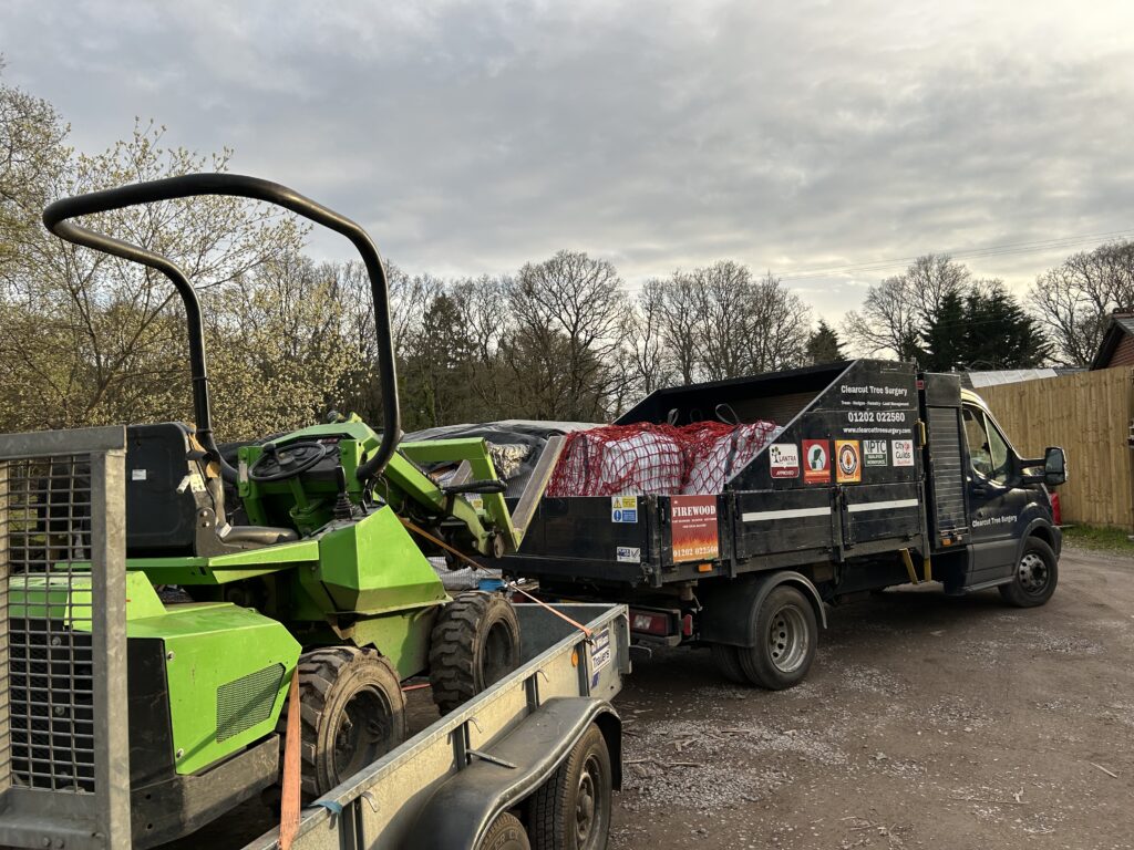 Clearcut Tree Surgery Ferndown
