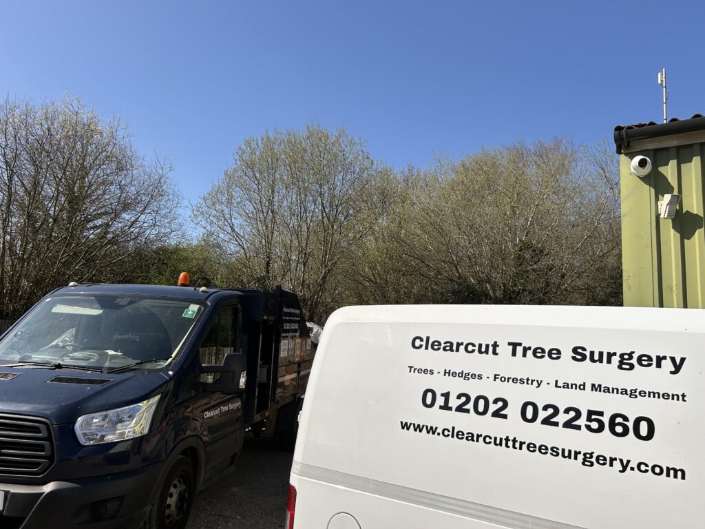 Clearcut Tree Surgery Professional Vehicles