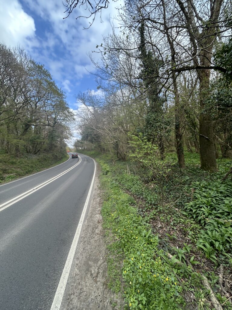 Risk Assessment Of Trees Next To A Road