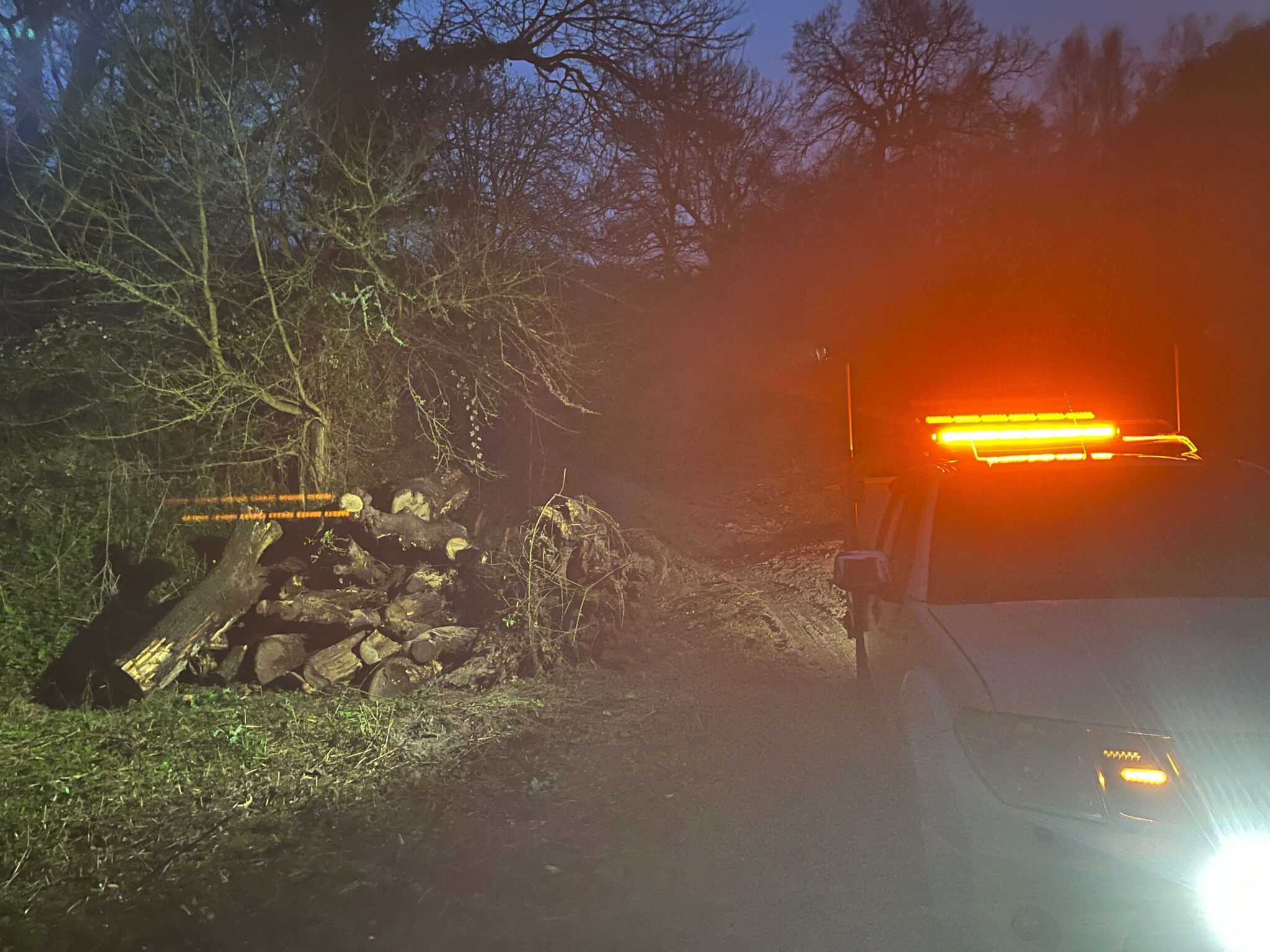 Emergency tree work at night, lit by the vehicle's beacons