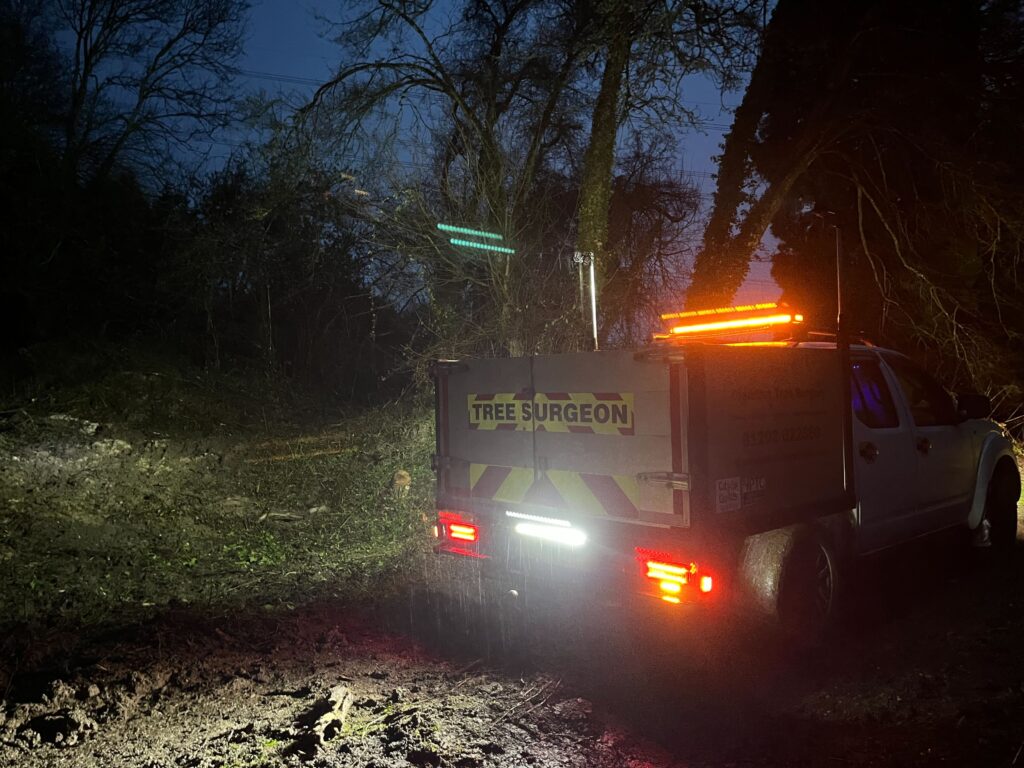 Clearcut Tree Surgery Emergency Tree Services 24H