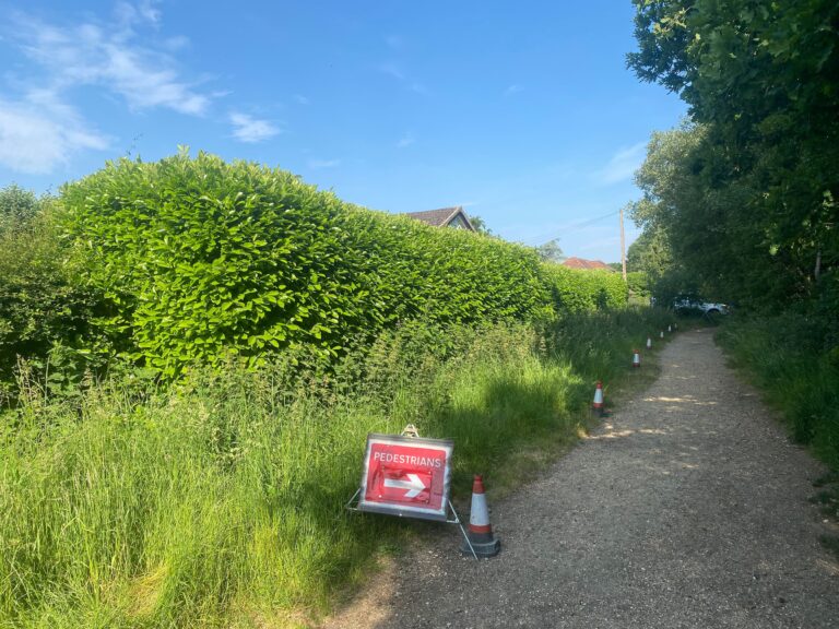 Large garden hedge being trimmed by tree surgeon