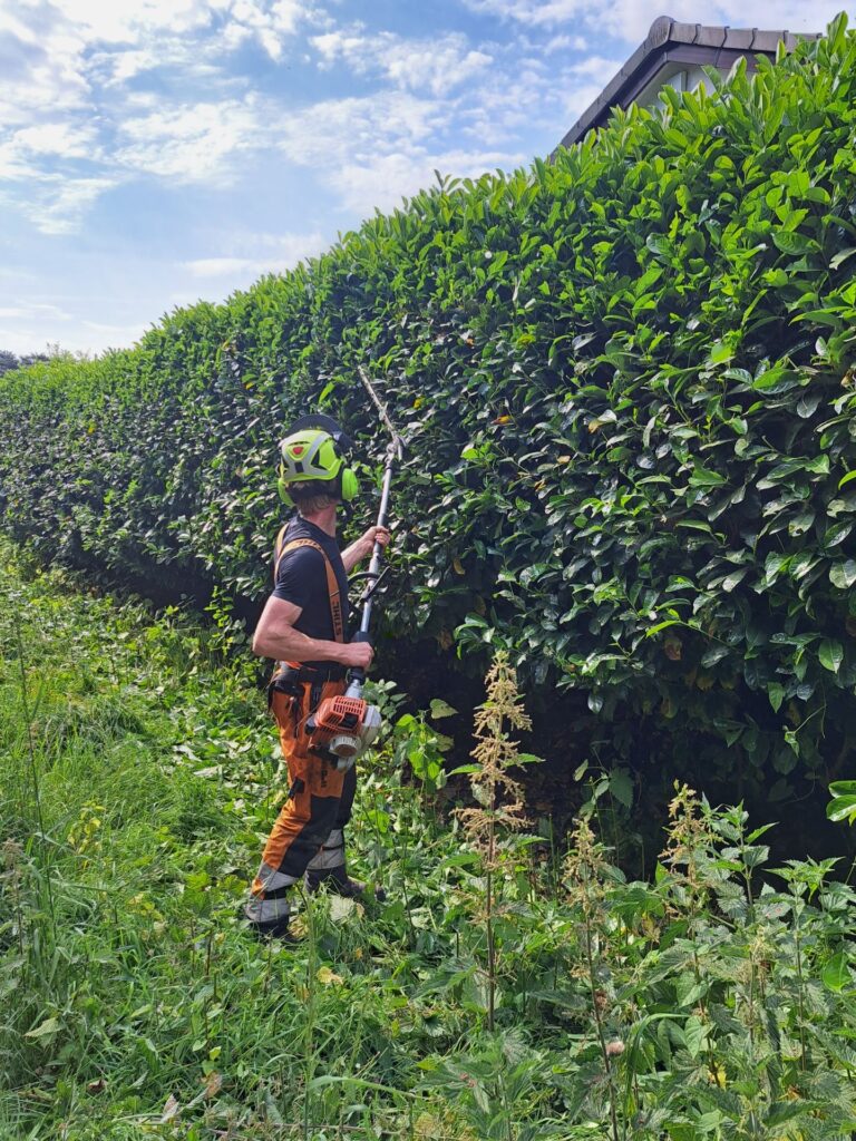 Clearcut Tree Surgery Hedge Trimming Christchurch