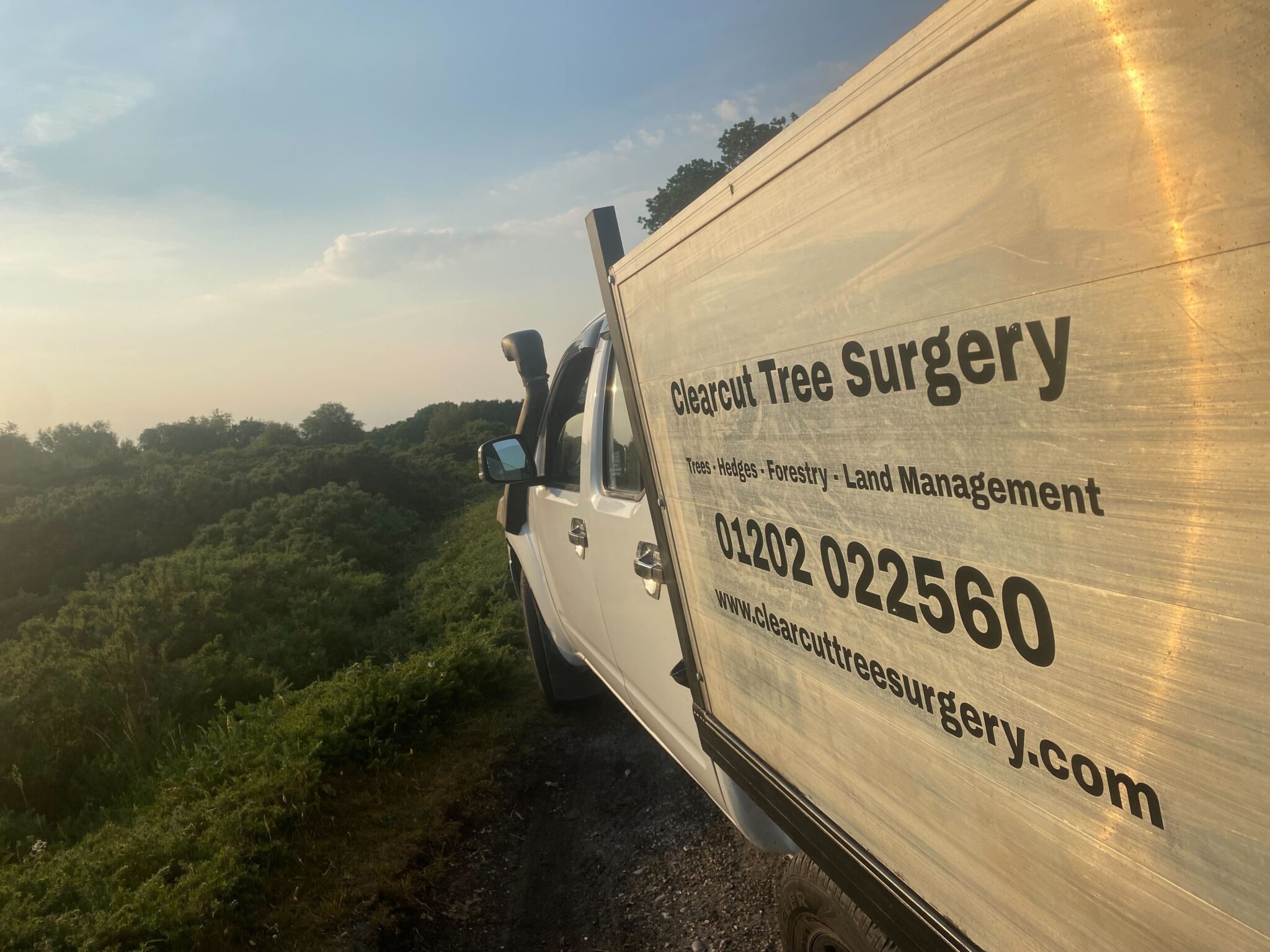 The Clearcut van at sunset