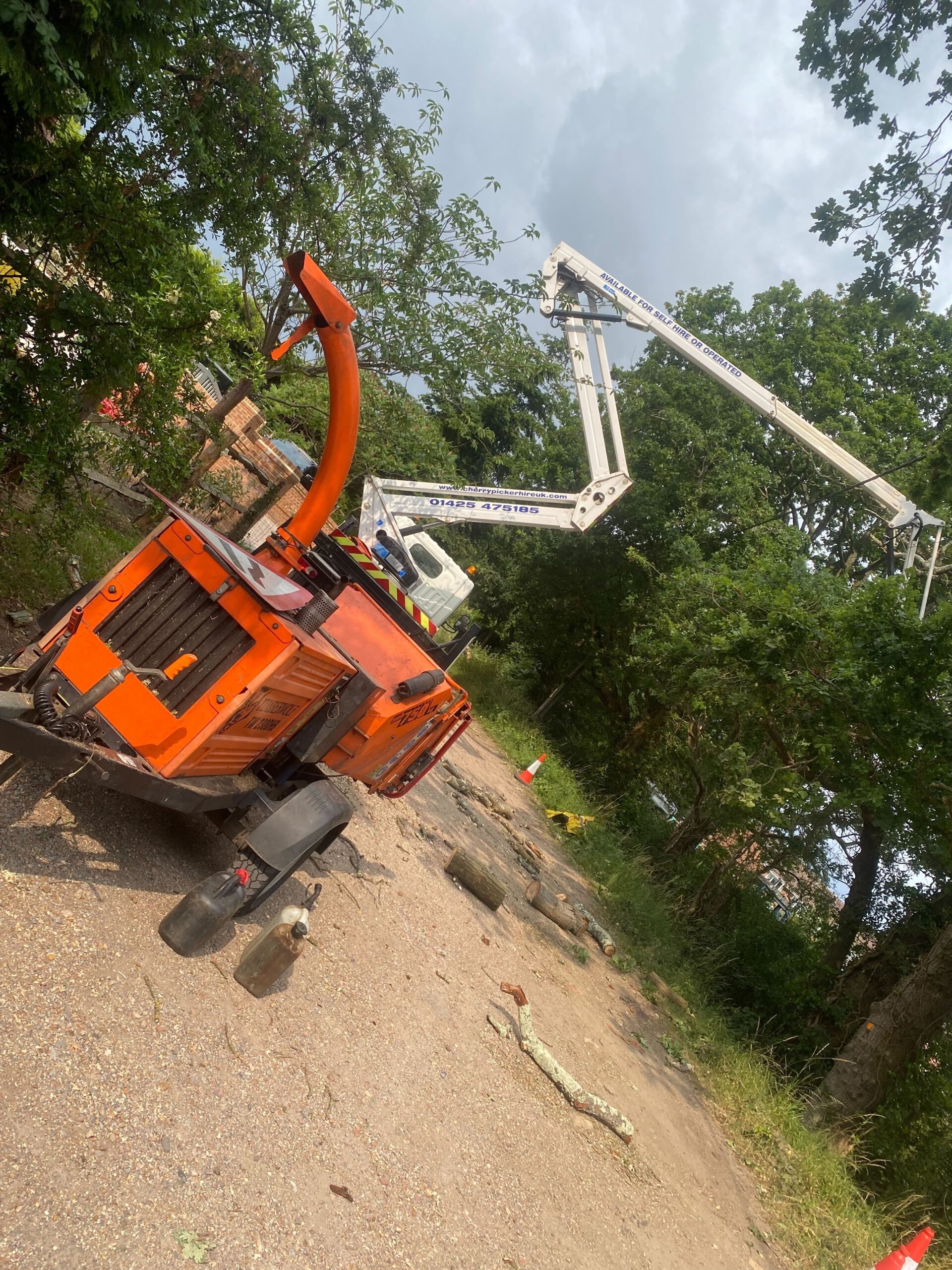 Crown Lifting Dorset & Hampshire