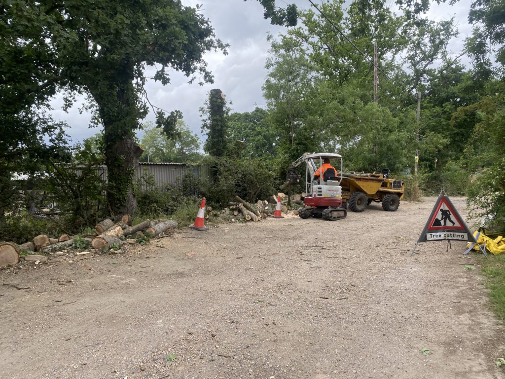 Clearcut Tree Surgery Site Clearance Service With Machinery