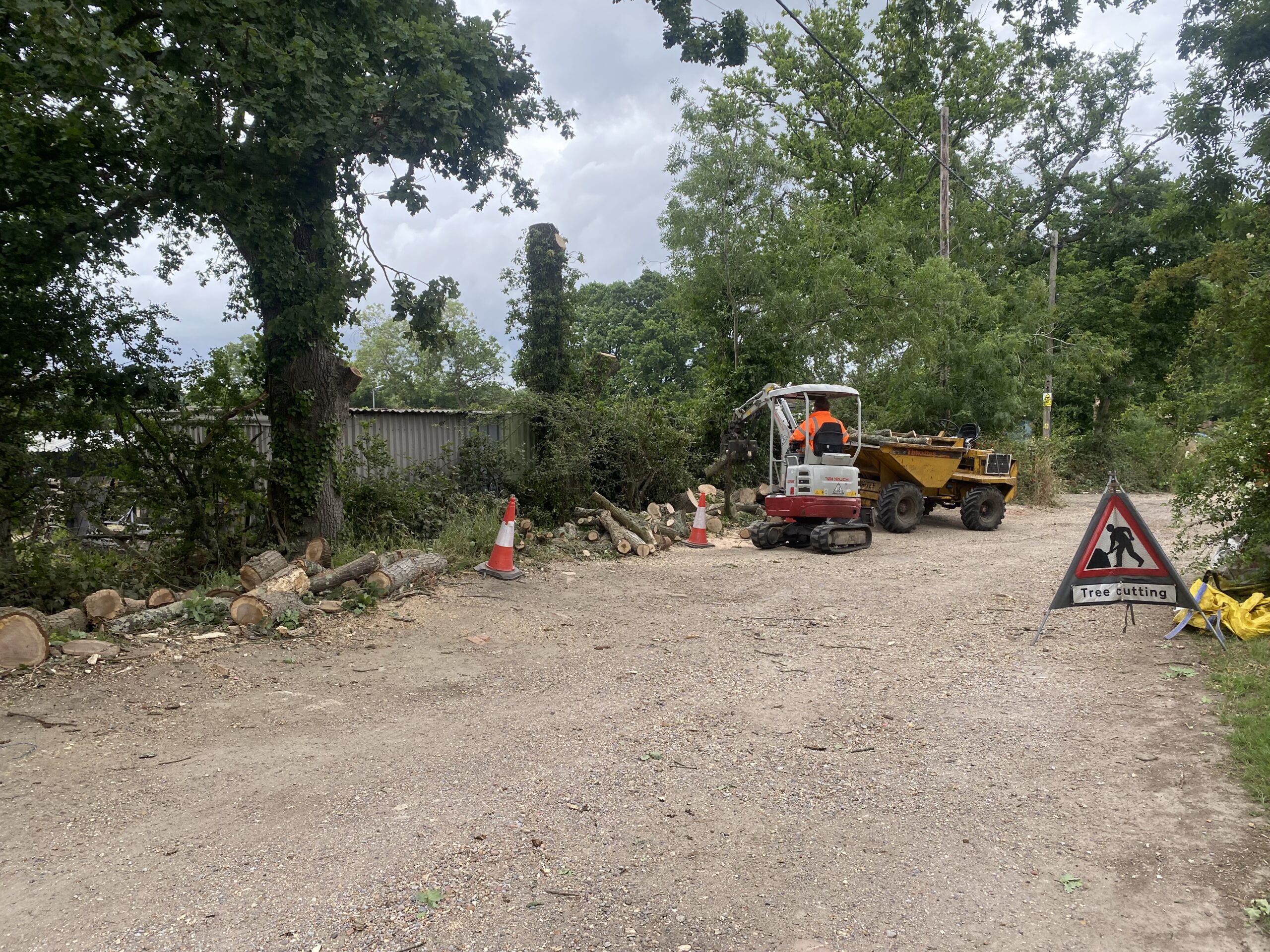 Clearcut Tree Surgery tree work Dorset