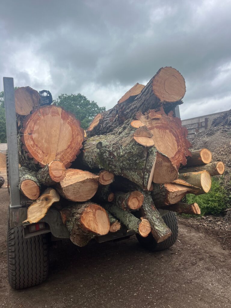Clearcut Tree Surgery Tree Timber Removal Via Tractor
