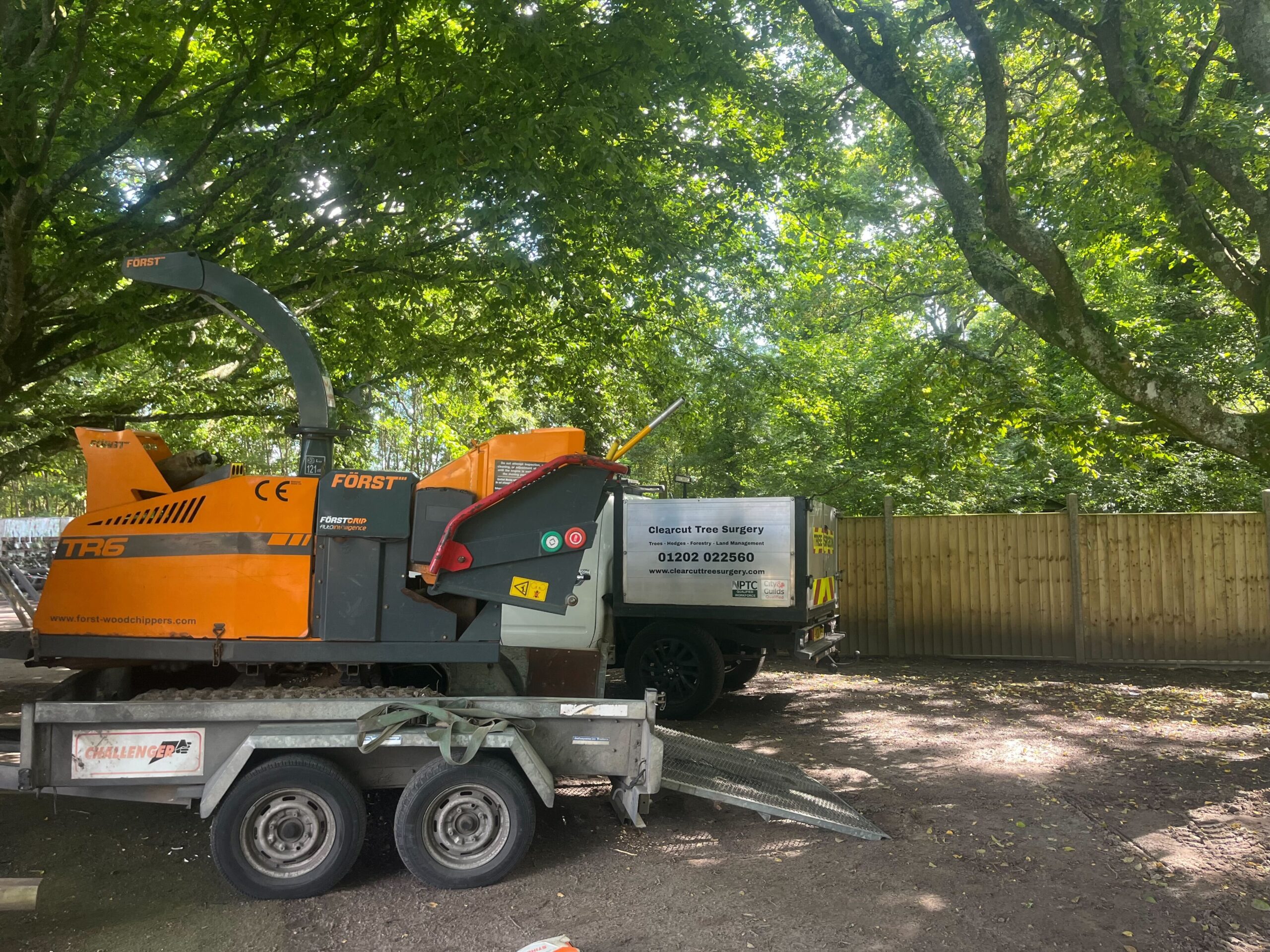 Clearcut Tre Surgery Tree Surgeons