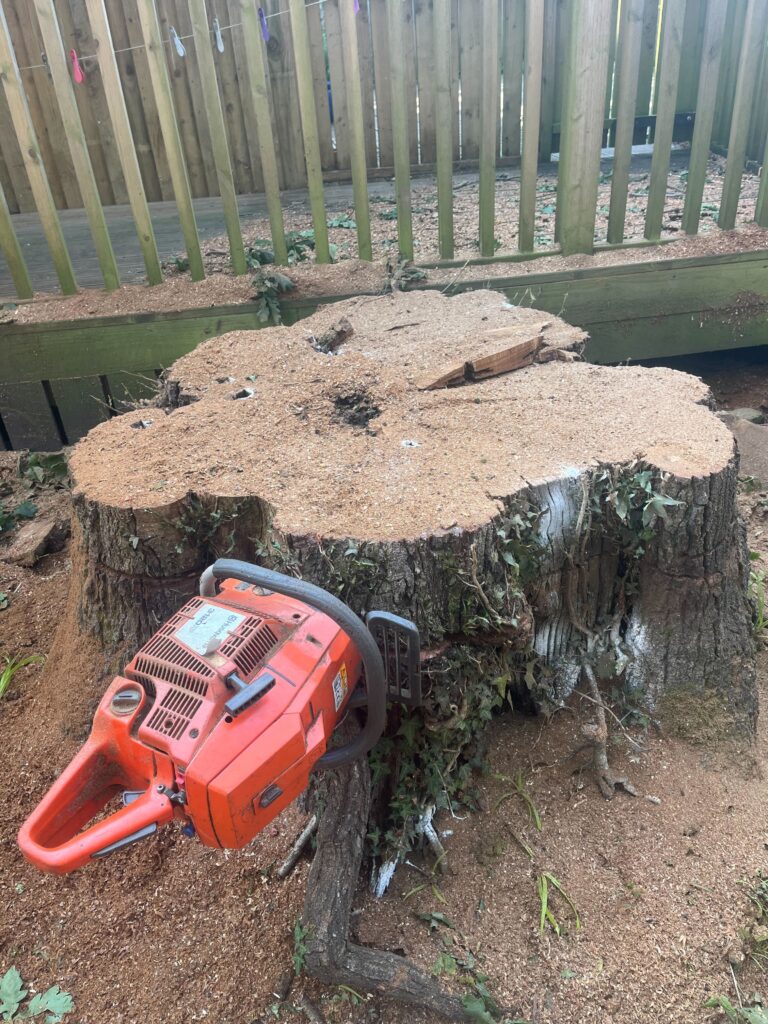 Tree Removal Hampshire Clearcut Tree Surgery Ltd