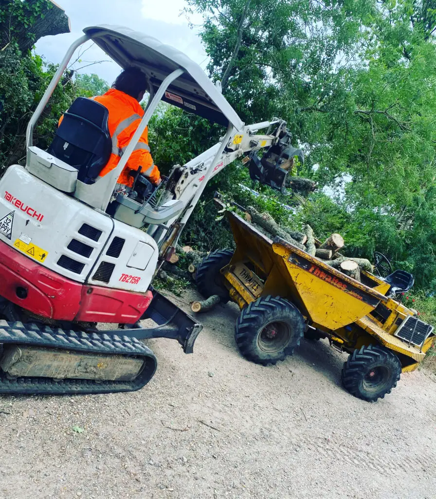 arborist collecting hedge trimmings and garden waste