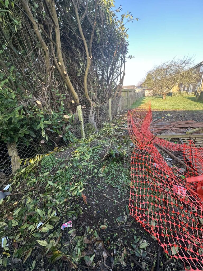 Tree surgeon carrying out stump grinding work