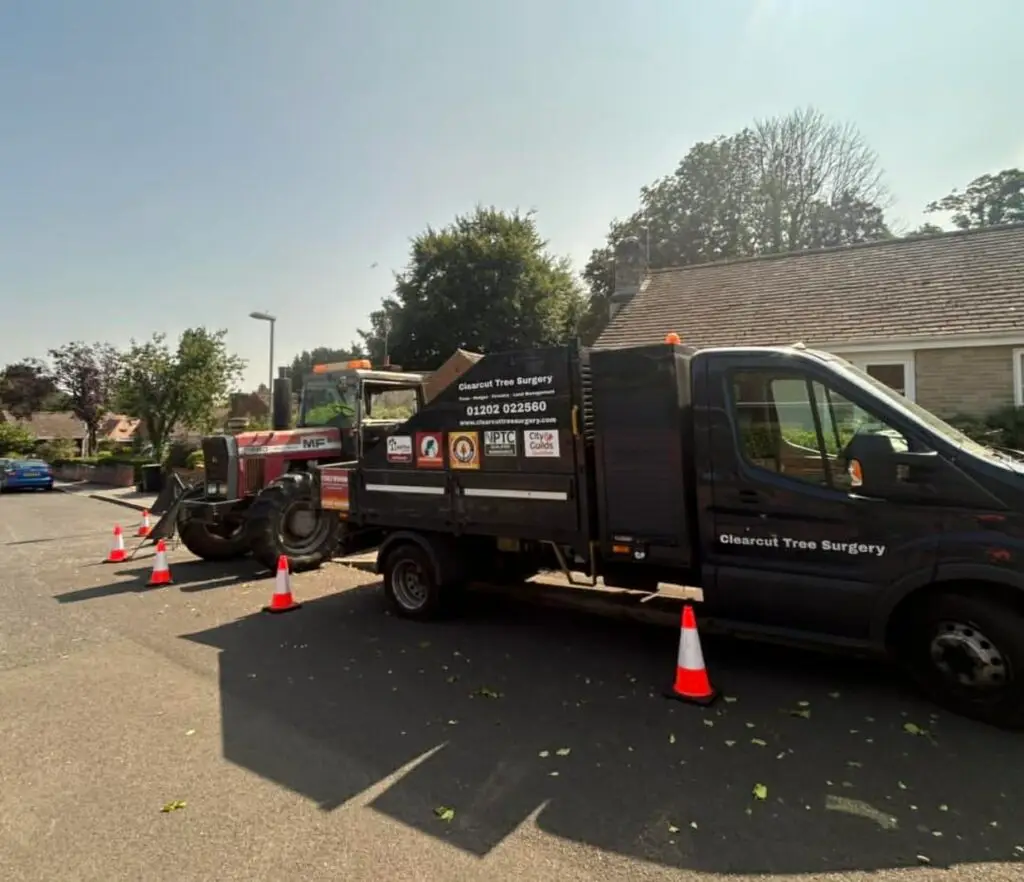 Tree Removal With Tractor In Bournemouth Clearcut Tree Surgery Services
