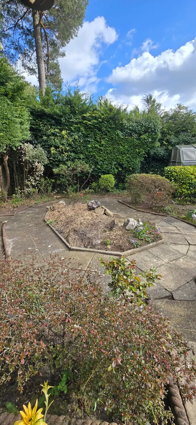 Clean result after hedge removal by Clearcut Tree Surgery Ferndown
