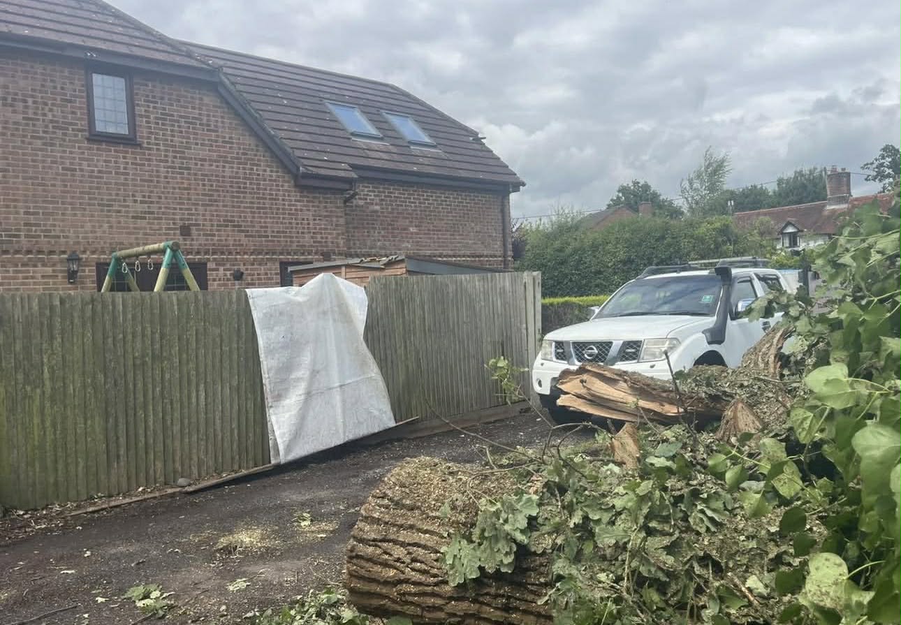 Emergency tree work by Clearcut Tree Surgery Dorset