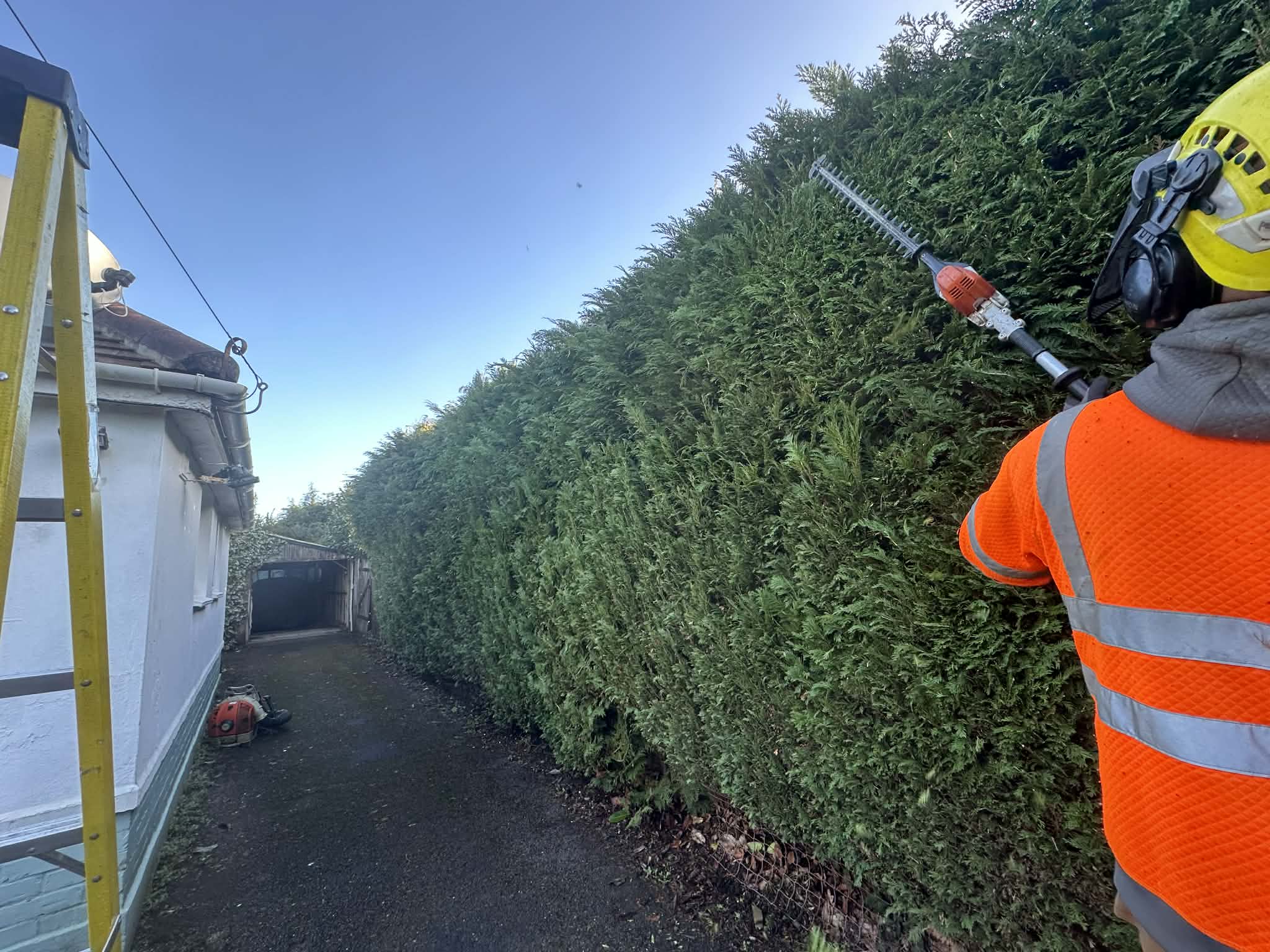 Hedge trimming by Clearcut Tree Surgery Dorset