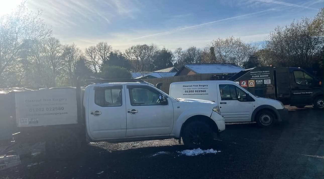 Clearcut Tree Surgery fleet — professional arborist vehicles Dorset and Hampshire