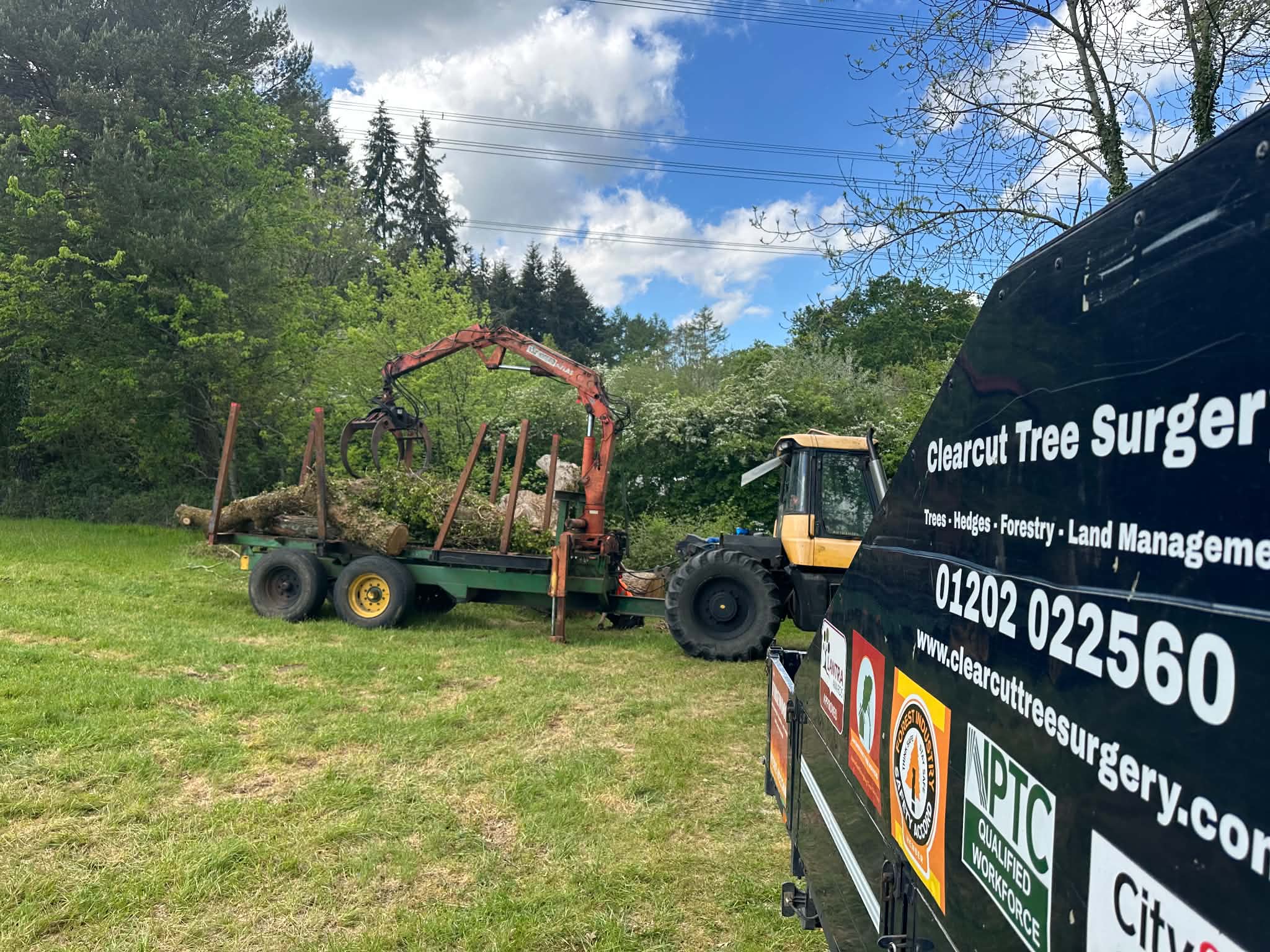 Clearcut Tree Surgery forestry operations in rural Dorset