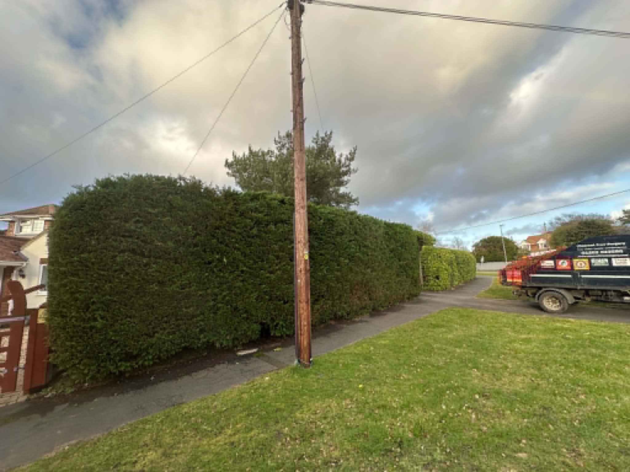 Clearcut Tree Surgery hedge trimming in Dorset and Hampshire
