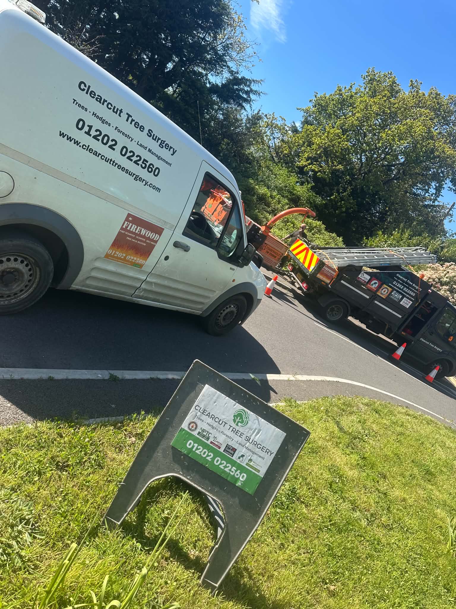 Clearcut commercial tree surgery team on a Dorset site