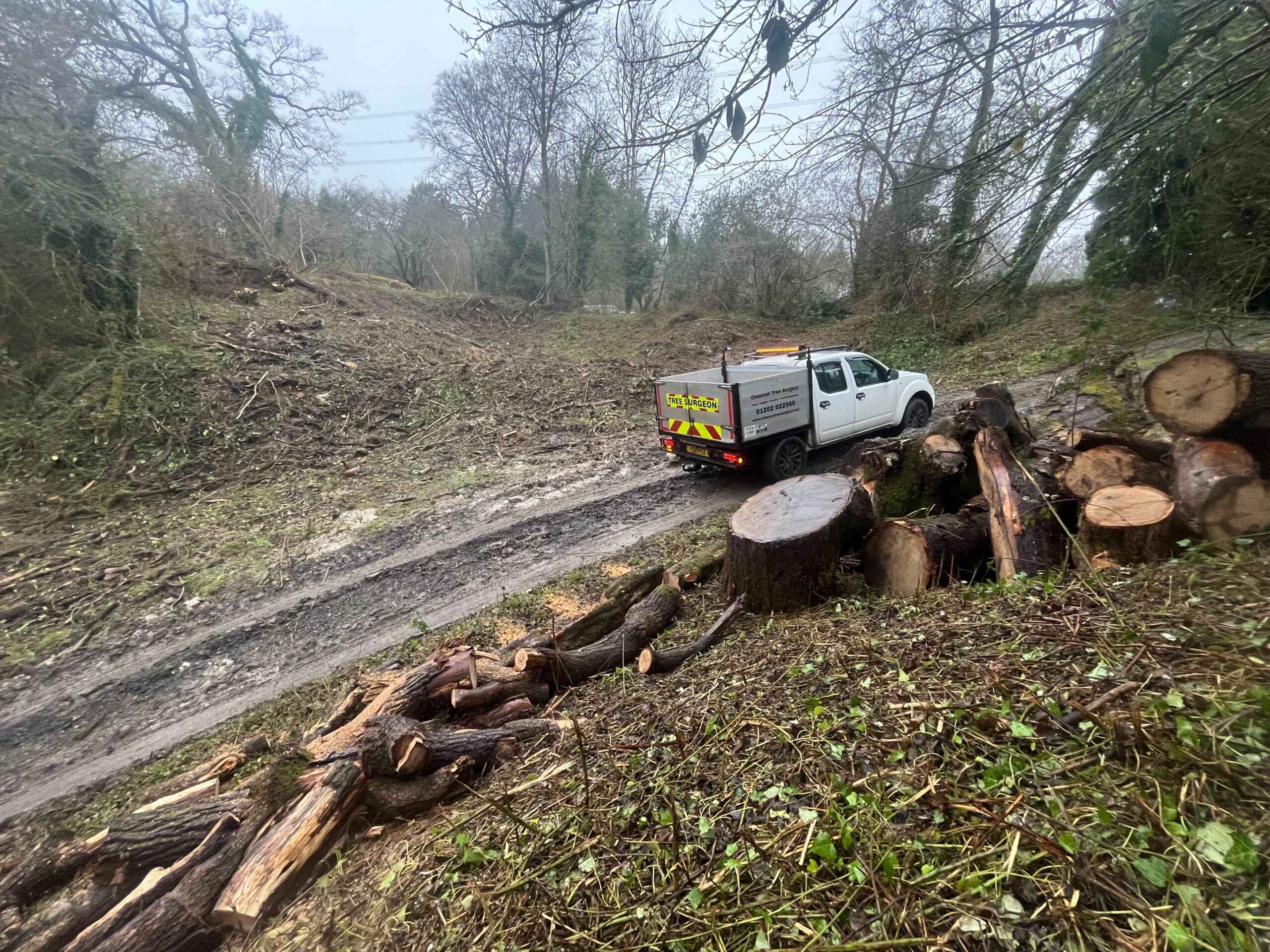 Clearcut Tree Surgery forestry services Dorset and Hampshire