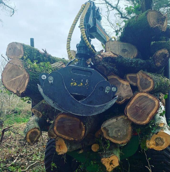 Clearcut forestry tractor on commercial woodland operation in Dorset